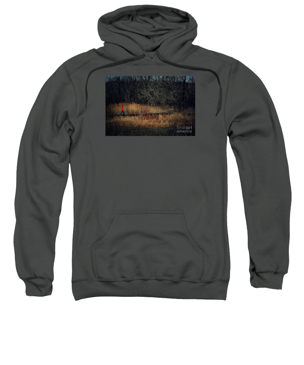  Illinois Sweatshirt featuring the photograph Pathway by Frank J Casella