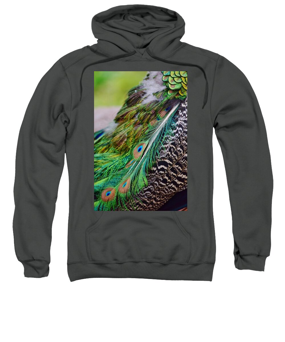 Peacock Sweatshirt featuring the photograph Peacock by Nicole Lloyd
