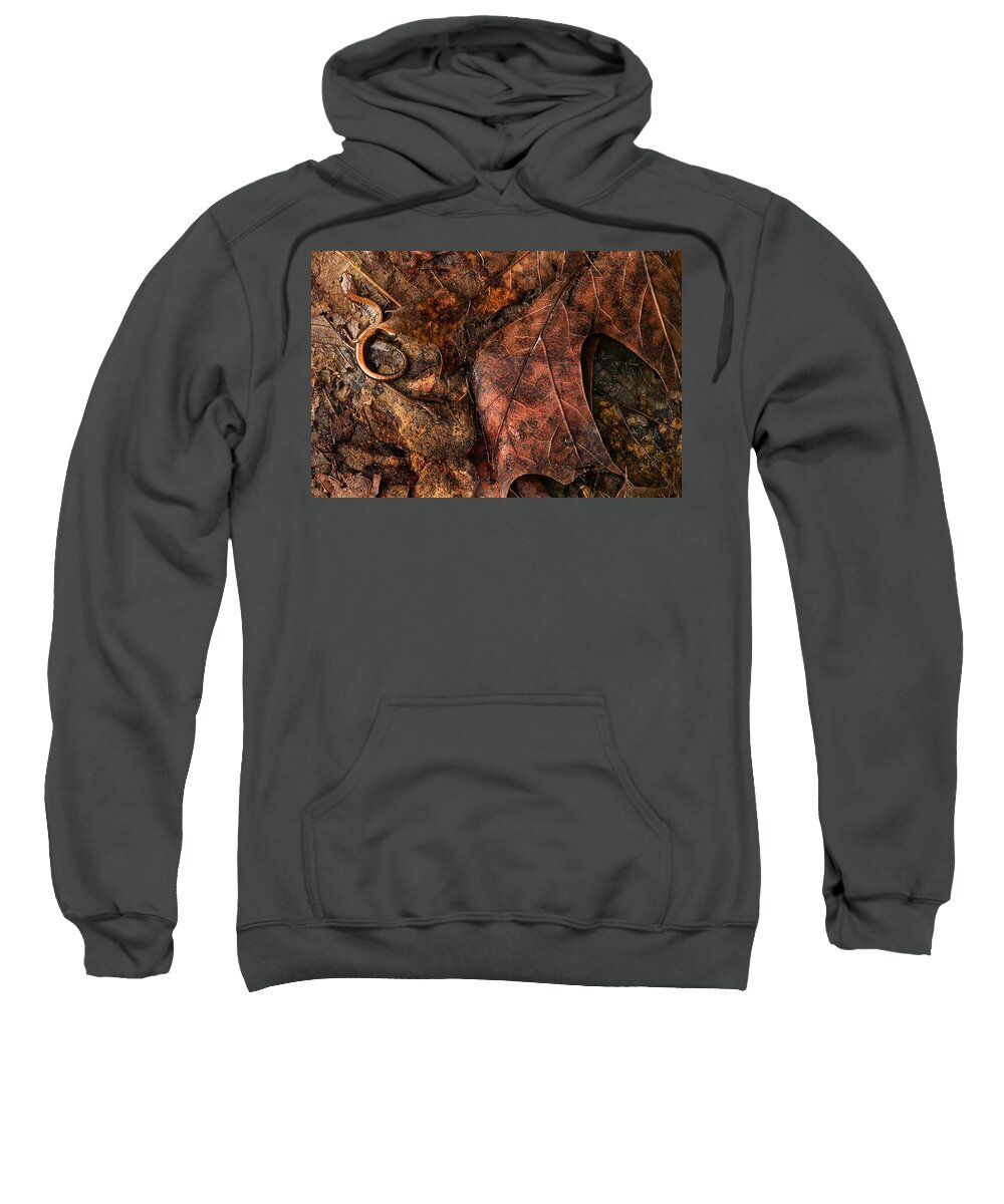Salamander Sweatshirt featuring the photograph Perfect Disguise by Jill Love