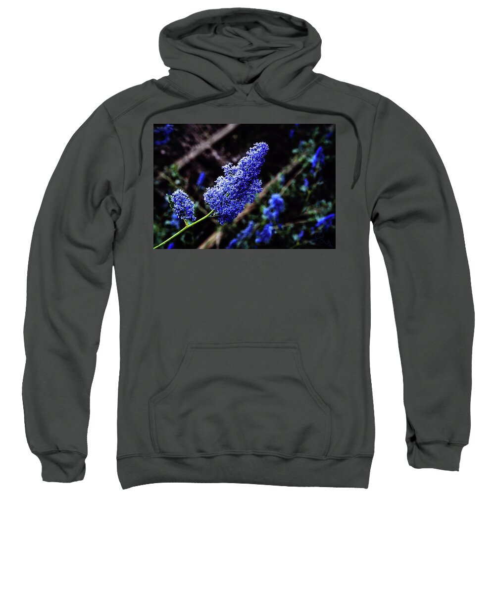 Periwinkle Adult Pull-Over Hoodie by Camille Lopez - Fine Art America