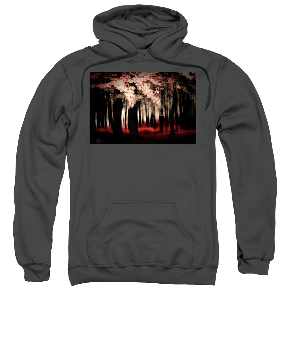  Sweatshirt featuring the photograph The Tulgey Wood by Cybele Moon