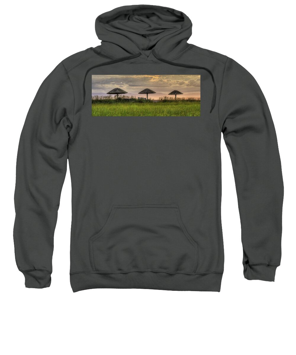 Beach Sweatshirt featuring the photograph Pick One by Kathy Paynter