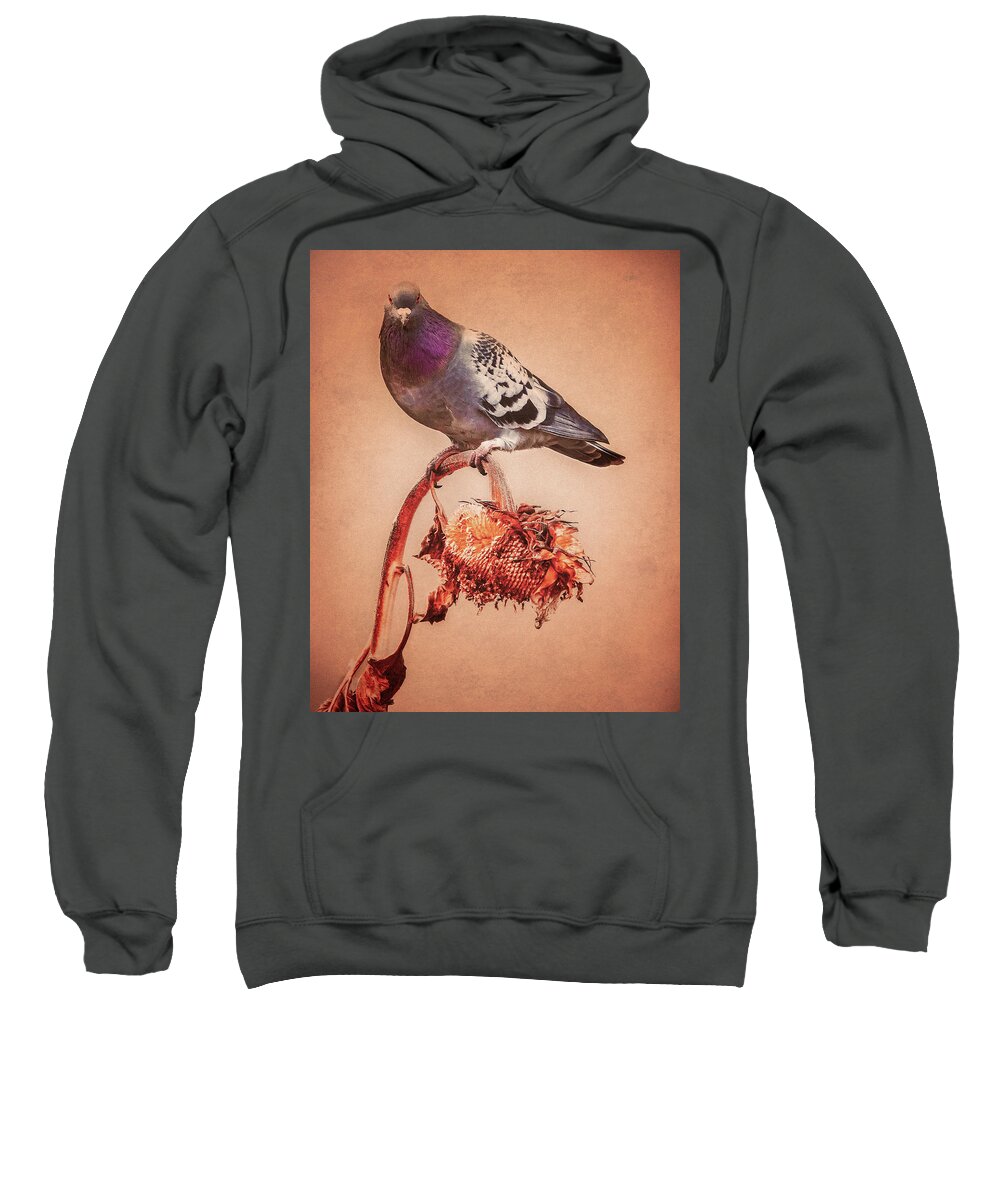 Photography Sweatshirt featuring the photograph Pigeon And Sunflower by Bob Orsillo
