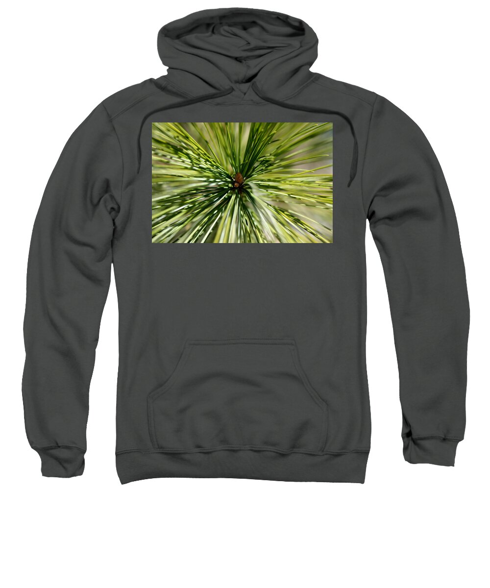 Pine Needles Sweatshirt featuring the photograph Pine Needles by Laura Kinker