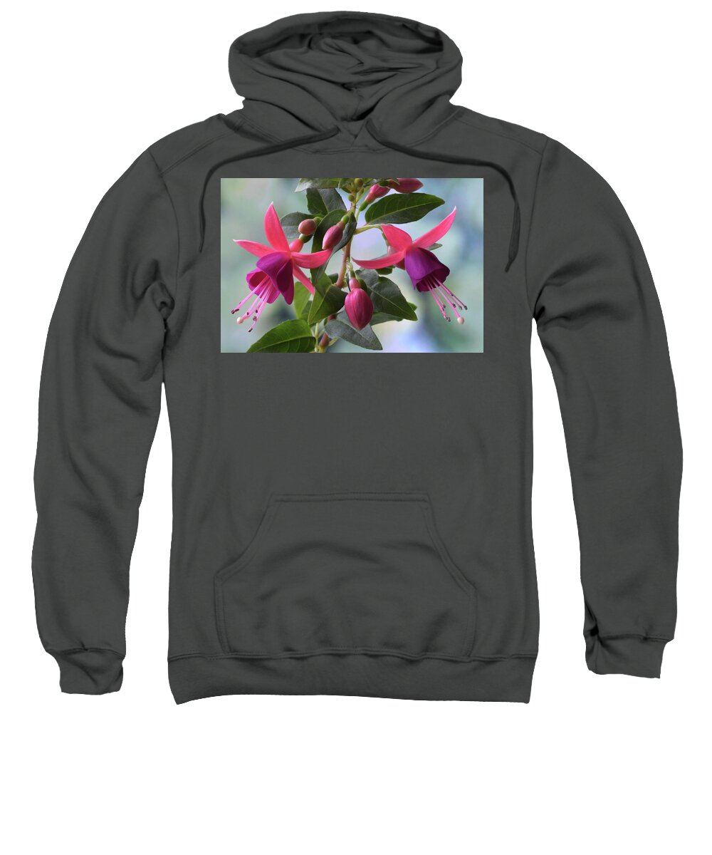 Fuchsias Sweatshirt featuring the photograph Pink And Purple Fuchsia by Terence Davis