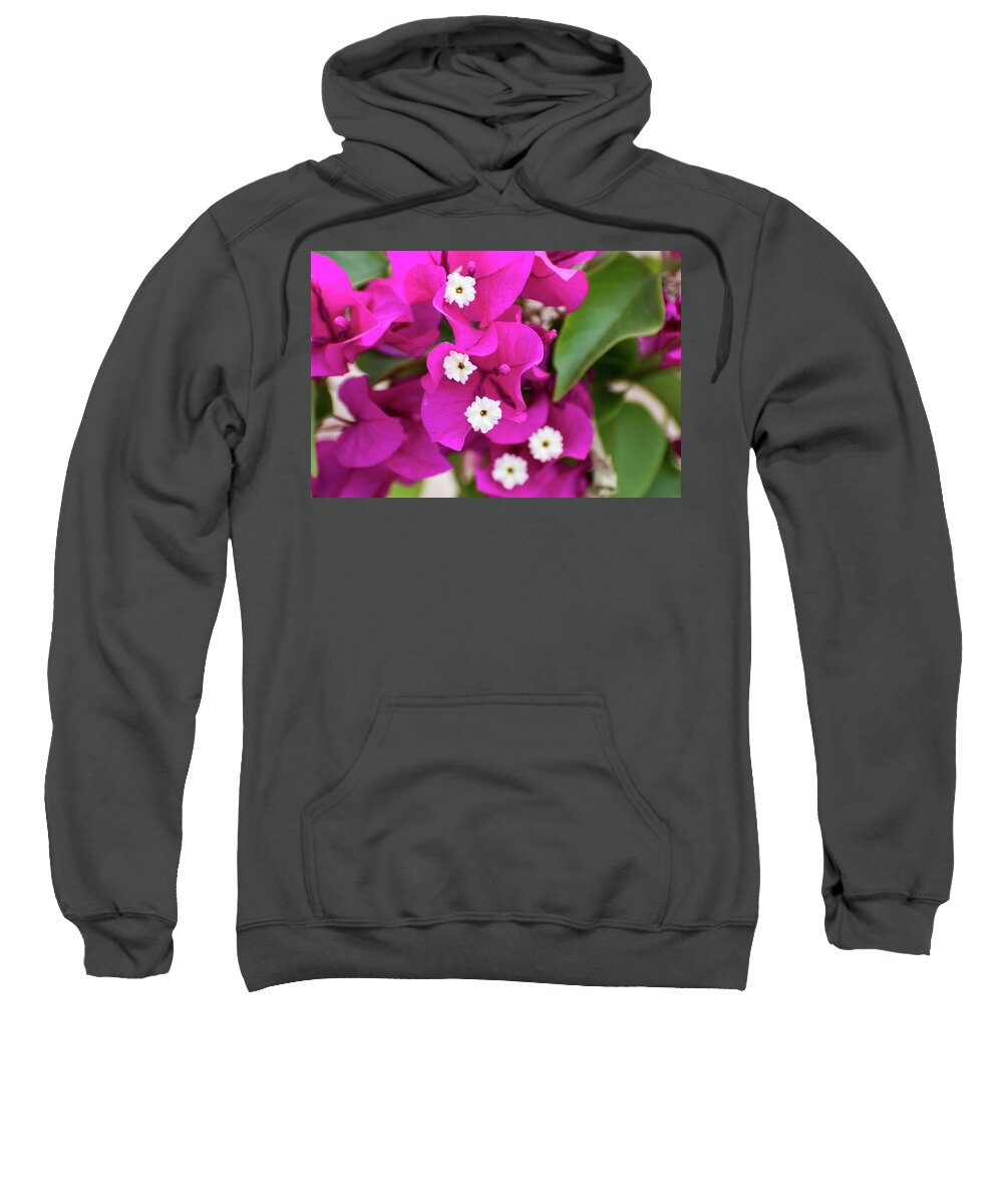 Flowers Sweatshirt featuring the photograph Pink and White Flowers by Douglas Killourie