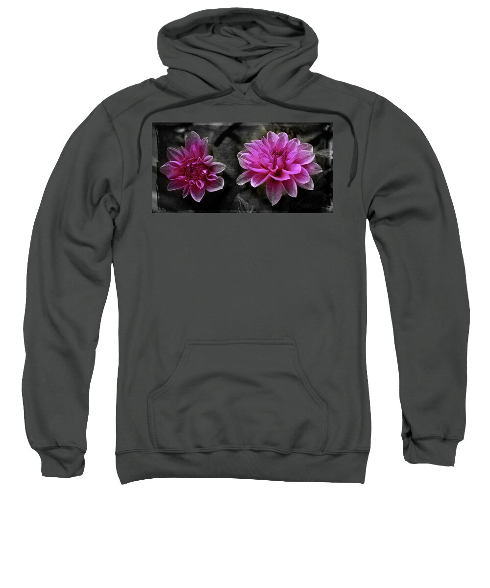 Flowers Sweatshirt featuring the photograph Pink Dahlia by Lily Malor
