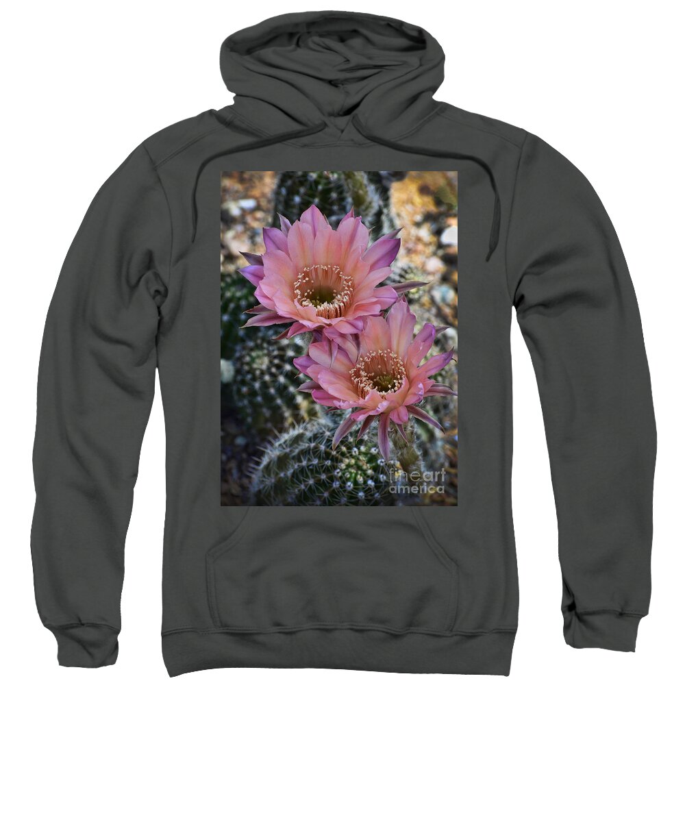 Pink Easter Lilly Cactus Sweatshirt featuring the photograph Pink Easter Lilly Cactus by Saija Lehtonen