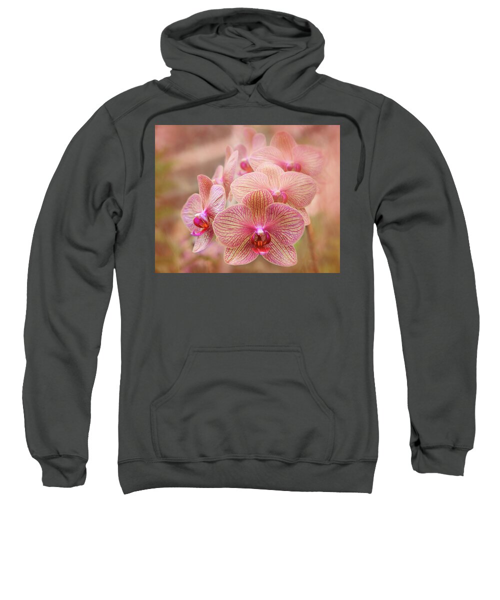 Bloom Sweatshirt featuring the photograph Pink Orchids by Robert FERD Frank