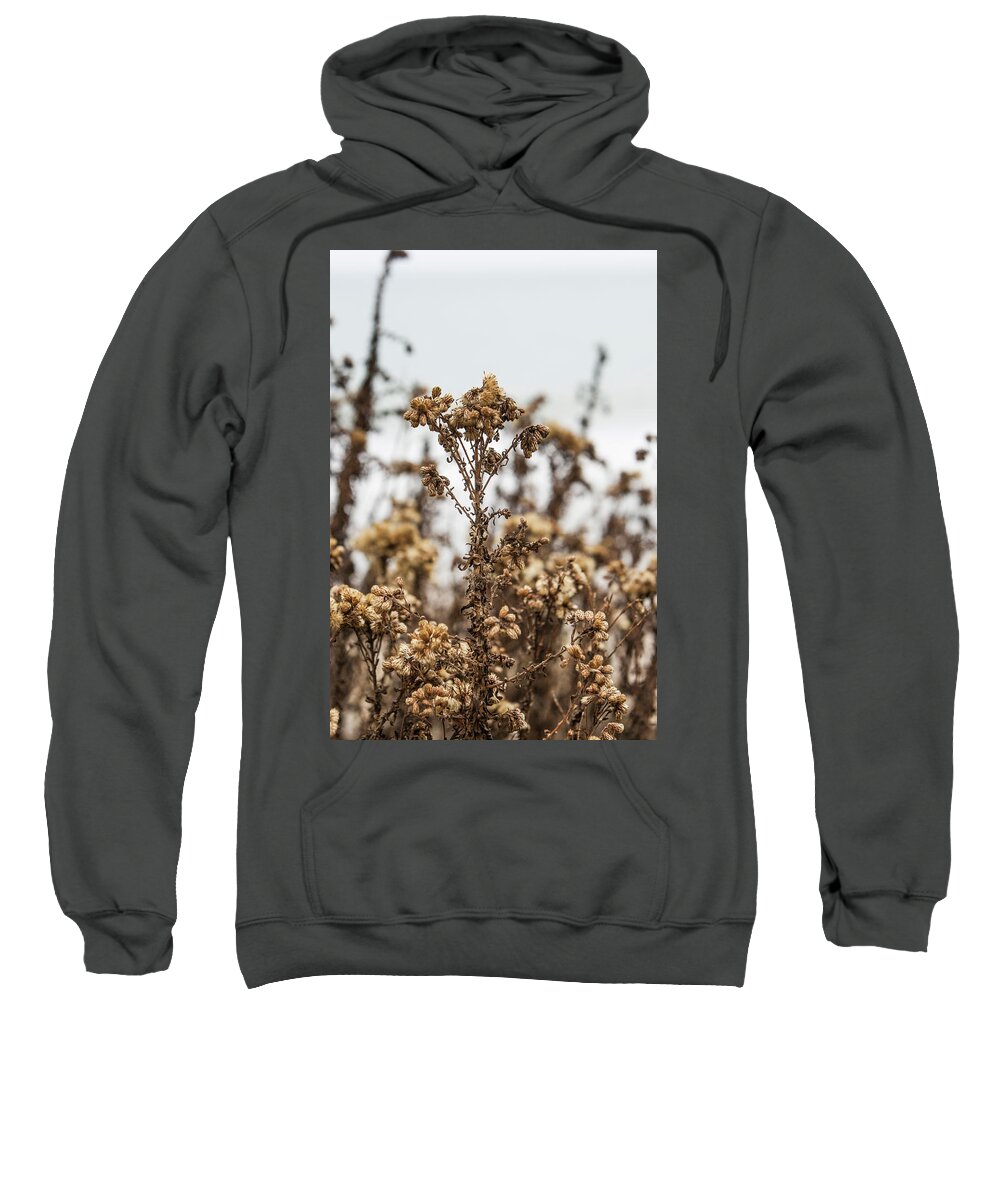Plants Sweatshirt featuring the photograph Plant by Jason Hughes