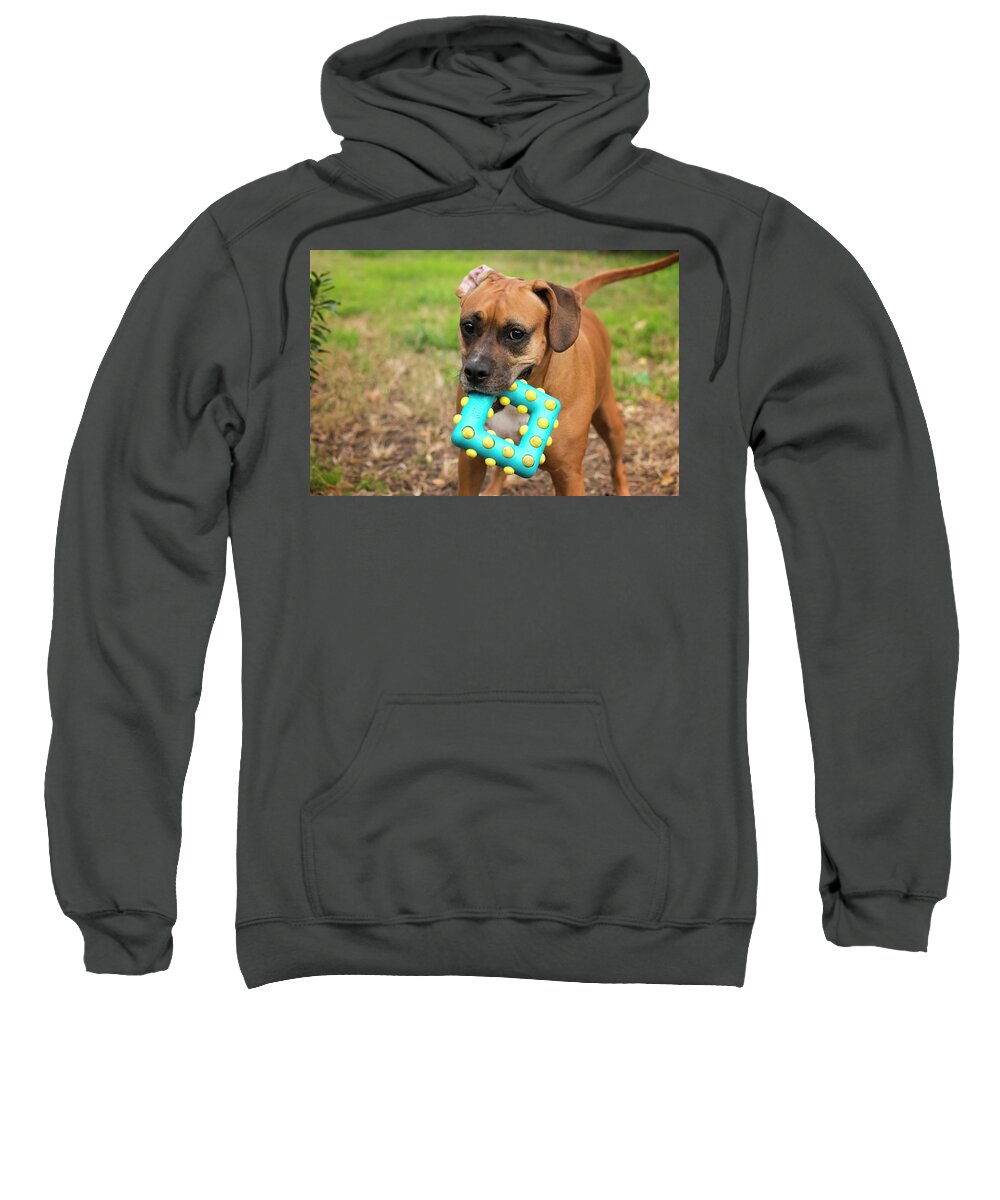Best Sweatshirt featuring the photograph Play Time by Travis Rogers