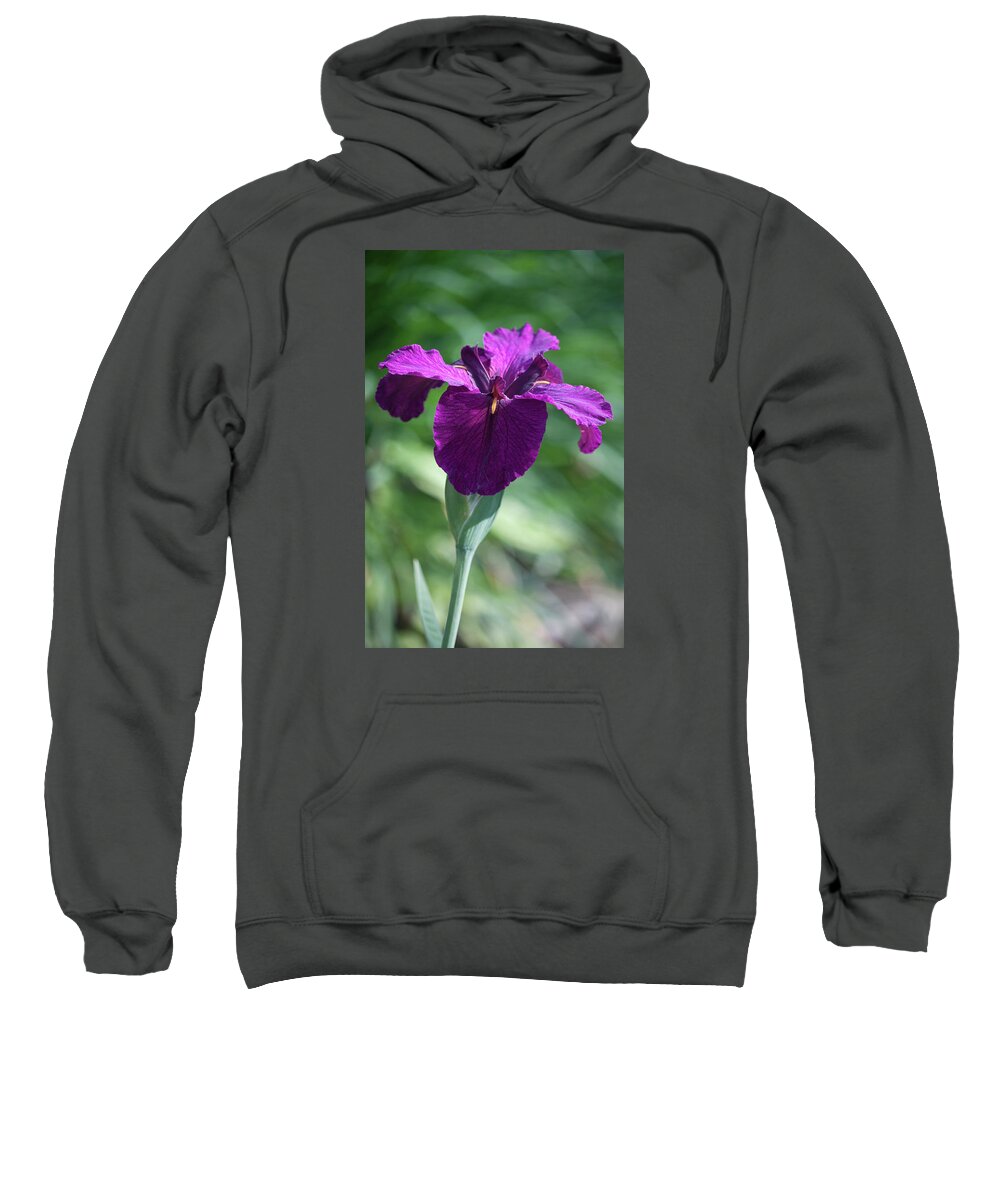 Photograph Sweatshirt featuring the photograph Pleasingly Purple by Suzanne Gaff