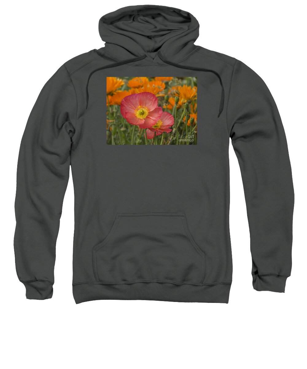 Flowers Sweatshirt featuring the photograph Poppies on Orange by Lili Feinstein