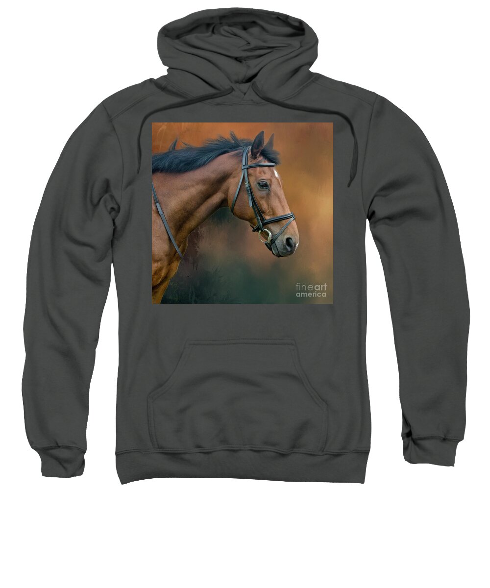 Horse Sweatshirt featuring the photograph Portrait of Zi by Brian Tarr