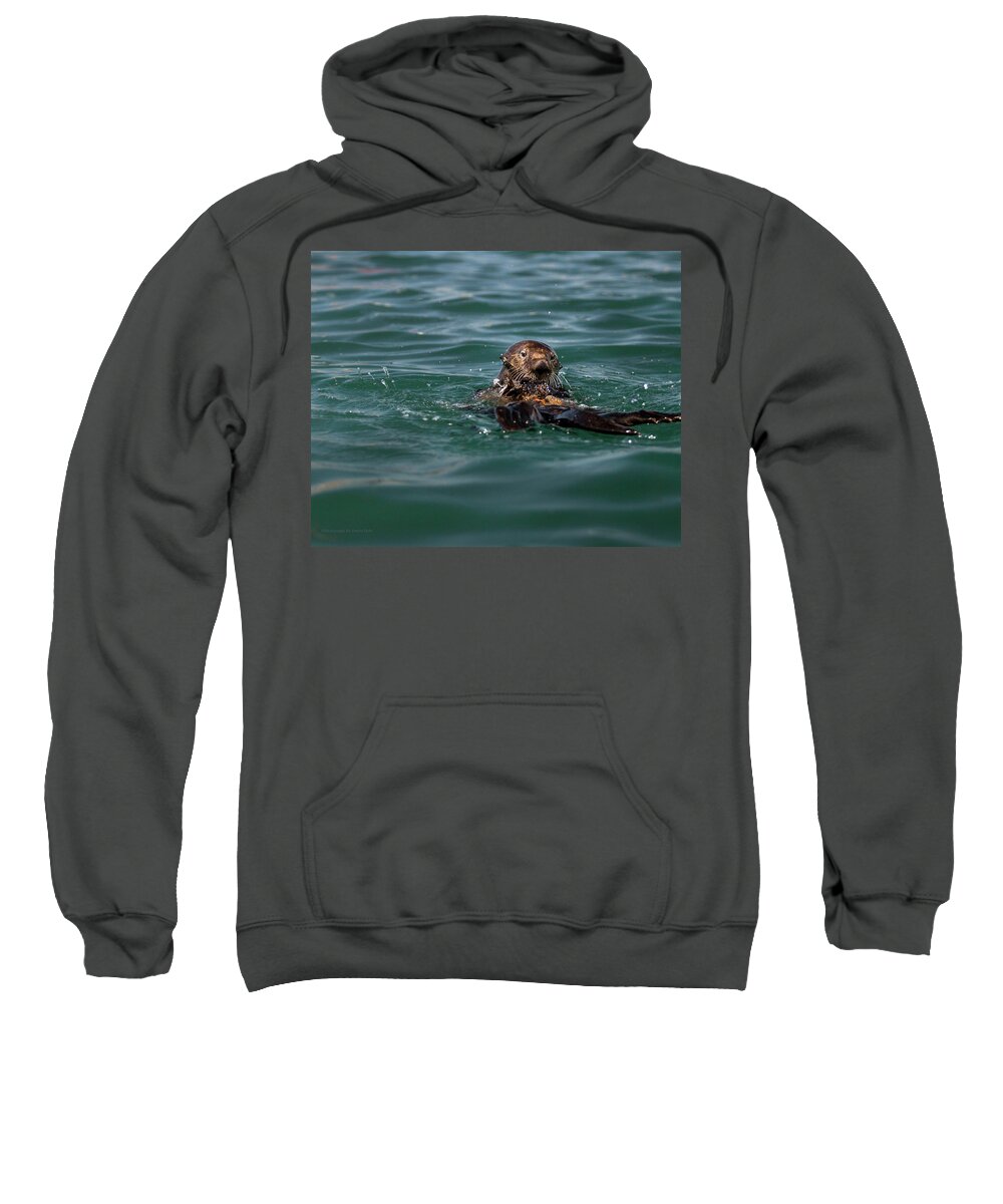 Nature Sweatshirt featuring the photograph Pounding Muscle by Denise Dube