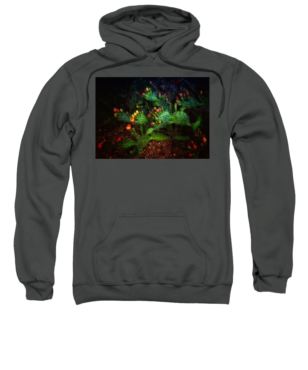 Cactus Sweatshirt featuring the photograph Pretty Prickly by Hans Brakob