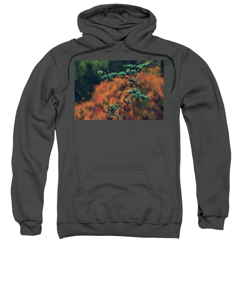 Nature Sweatshirt featuring the photograph Prickly Green by Gene Garnace
