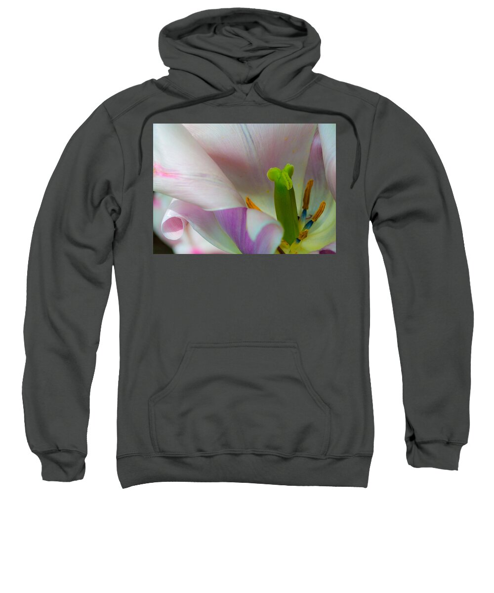 Flowers Sweatshirt featuring the photograph Private Showing by Stewart Helberg