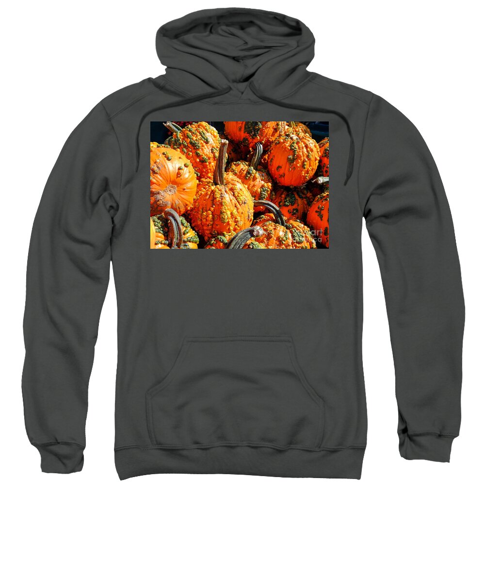 Autumn Sweatshirt featuring the photograph Pumpkins with Warts by Iryna Liveoak