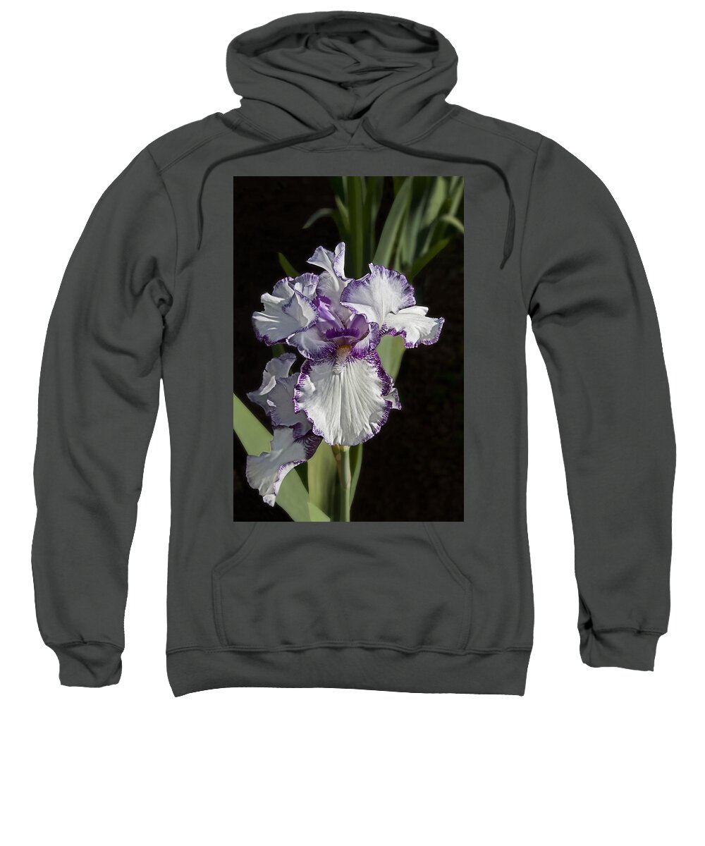 Iris Sweatshirt featuring the photograph Purple and White Iris - 1583 by C VandenBerg