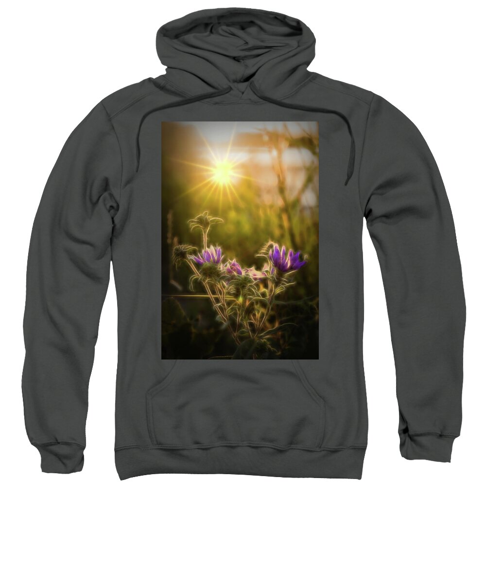Purple Aster Sweatshirt featuring the photograph Purple Aster Glow by Beth Venner