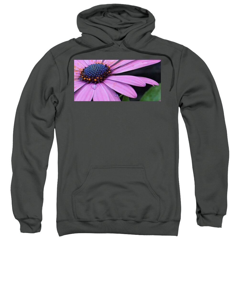 Flora Sweatshirt featuring the photograph Purple Jewel by Bruce Bley