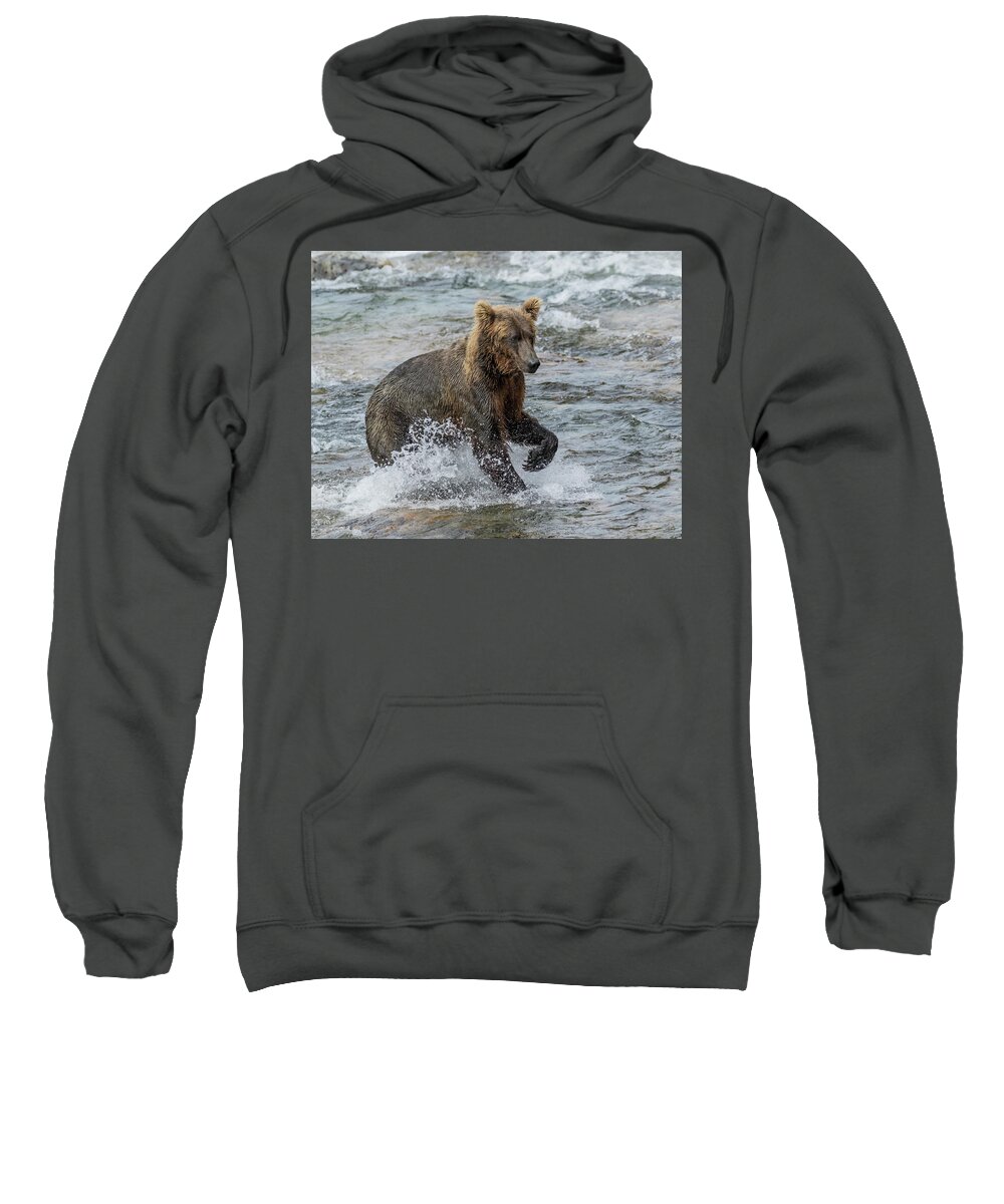 Alaska Sweatshirt featuring the photograph Ready for Action by Cheryl Strahl