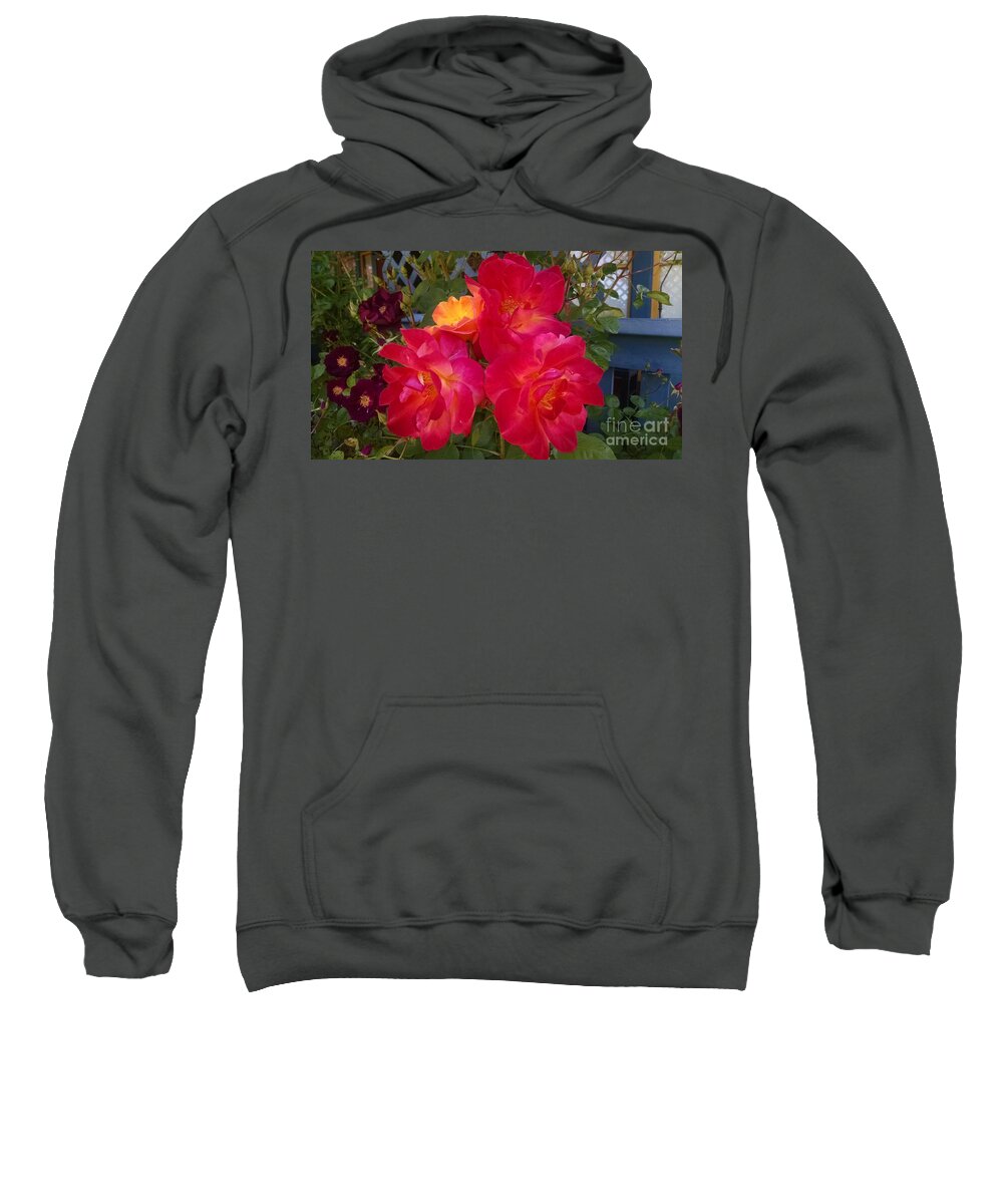 Botanical Sweatshirt featuring the photograph Red and orange rose by Steven Wills