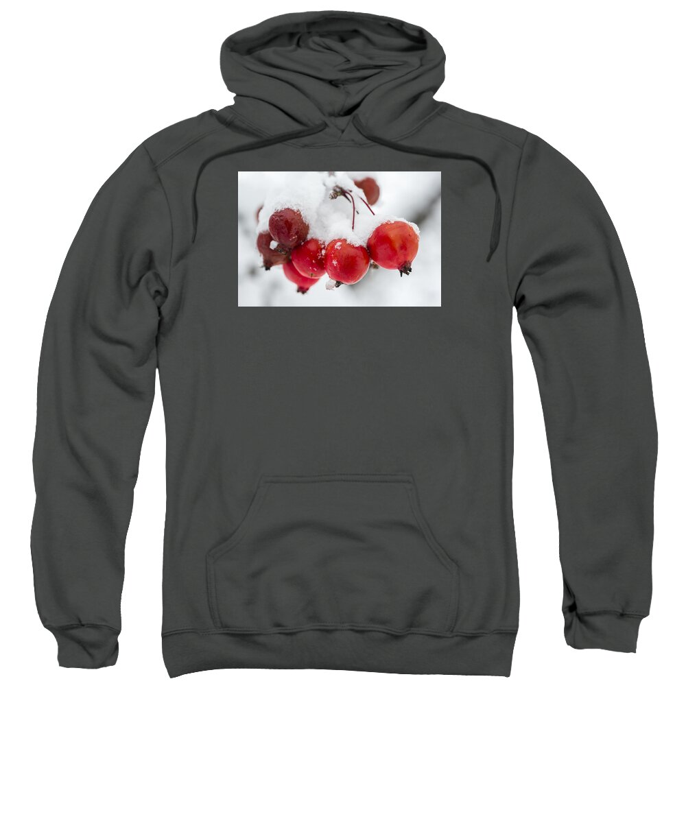 Fall Sweatshirt featuring the photograph Red and White by Sebastian Musial