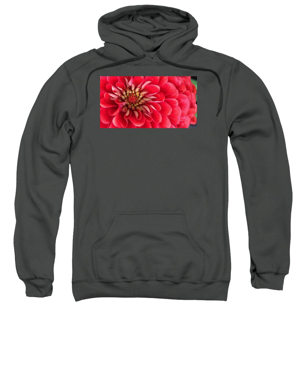 Flora Sweatshirt featuring the photograph Red Explosion by Bruce Bley