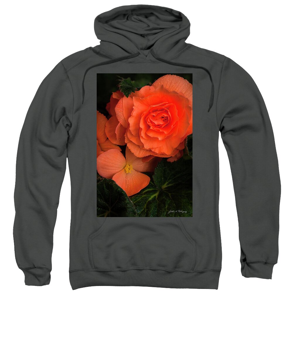 Red Flowers Sweatshirt featuring the photograph Red Giant Begonia Ruffle Form by John A Rodriguez