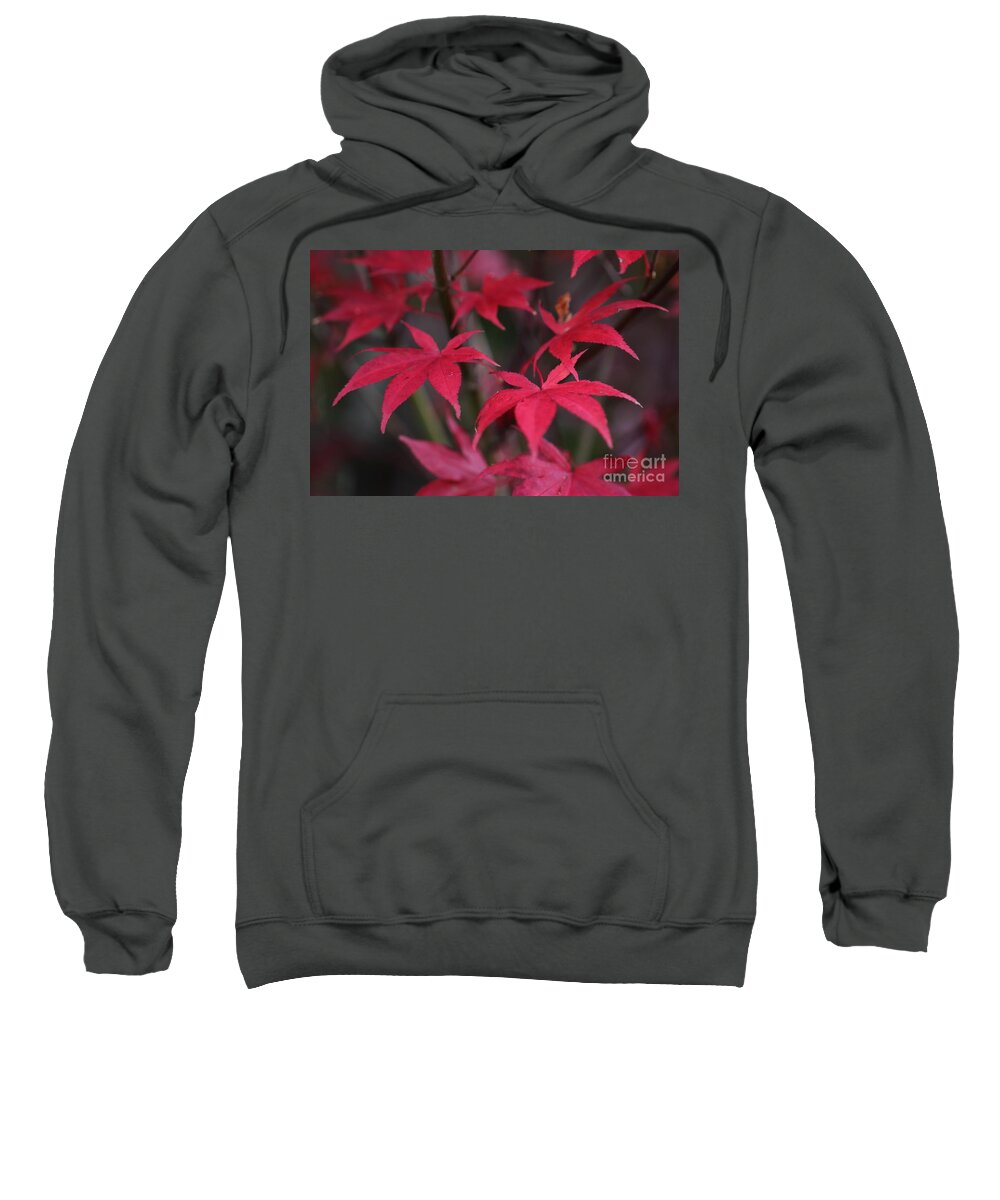 Red Sweatshirt featuring the photograph Red palms by Yumi Johnson
