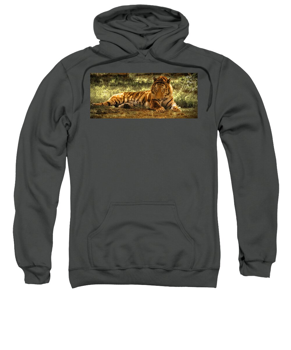 Tiger Sweatshirt featuring the photograph Resting Tiger by Chris Boulton