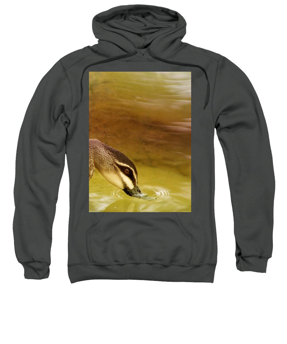 Animals Sweatshirt featuring the photograph Ripples by Holly Kempe