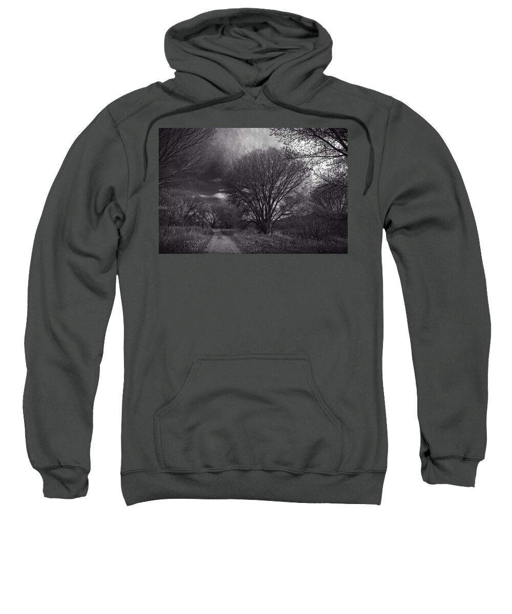 Willow Lake Preserve Sweatshirt featuring the photograph Road through the cottonwoods by Sandra Selle Rodriguez