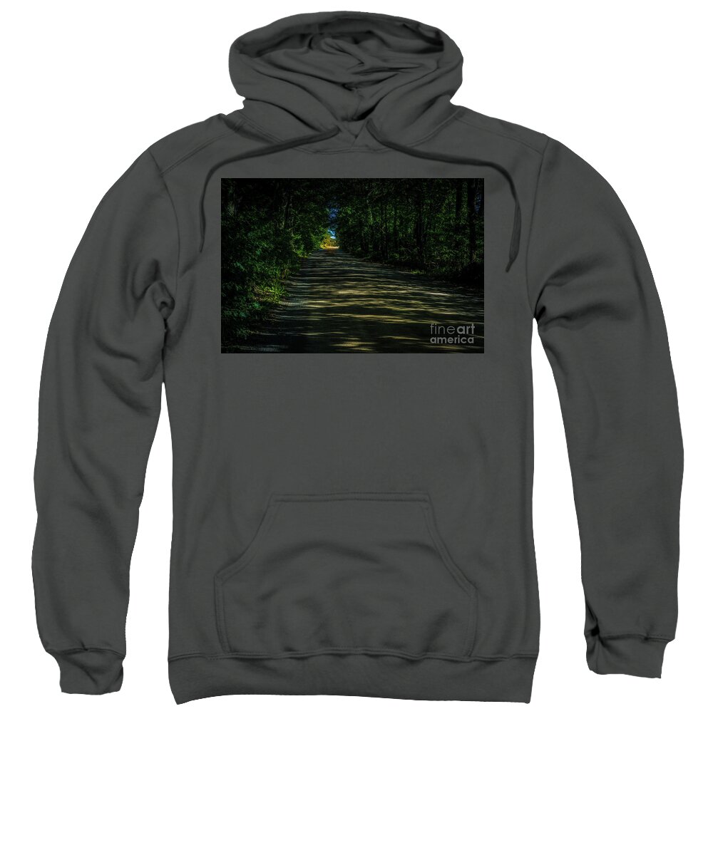 Golden Sweatshirt featuring the photograph Road Through the Woods by Roger Monahan