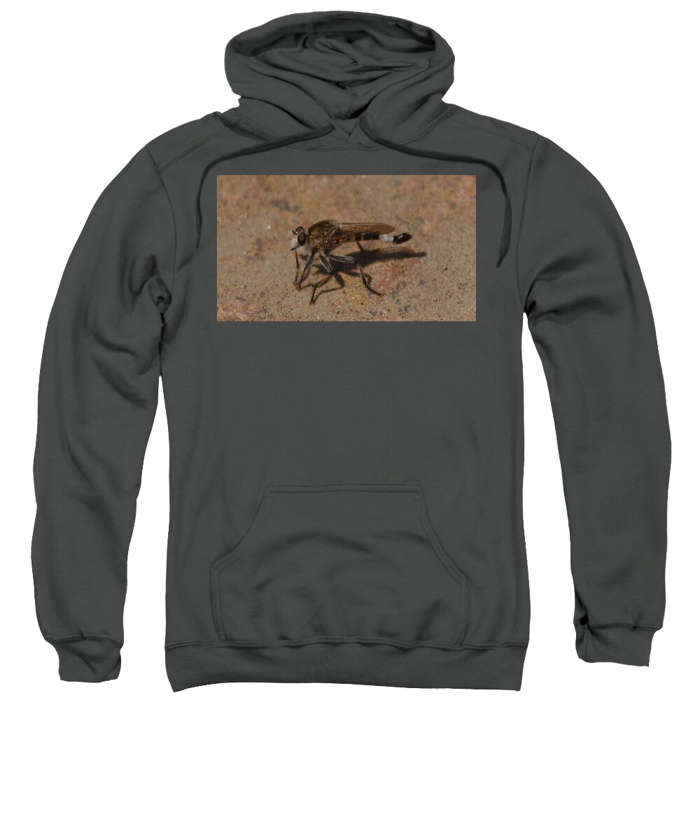 Fly Sweatshirt featuring the photograph Robber fly by James Smullins