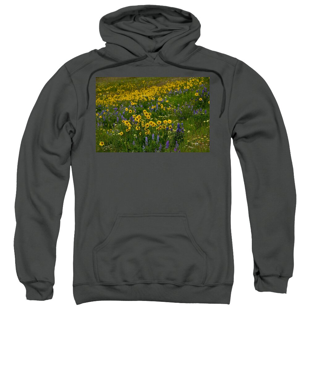 Colorado Sweatshirt featuring the photograph Rocky Mountain Wildflowers by Tranquil Light Photography