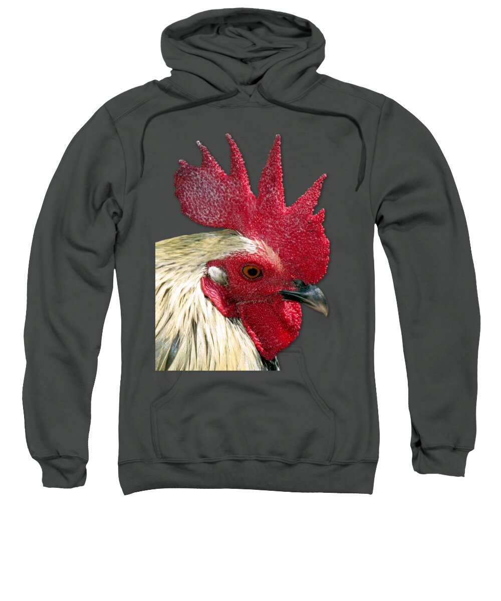 Rooster Sweatshirt featuring the photograph Rooster by Bob Slitzan