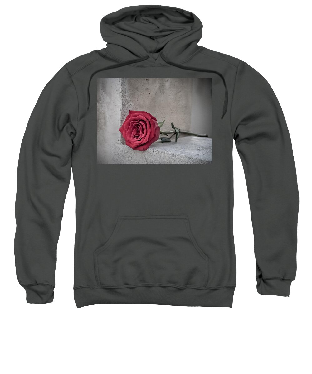 Flower Sweatshirt featuring the photograph The Party's Over by Kristine Hinrichs