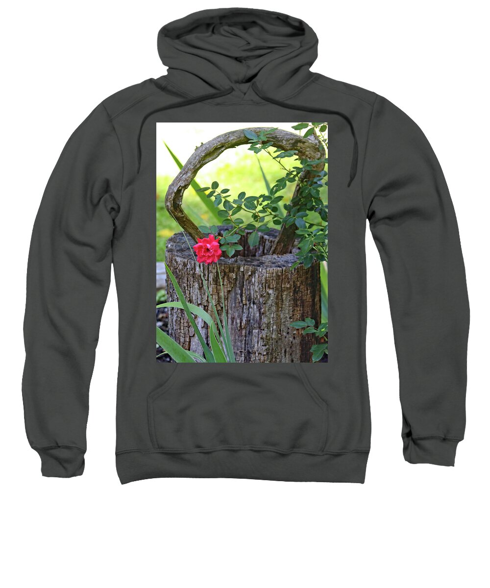 Rose On Wood Sweatshirt featuring the photograph Rose on Wood by PJQandFriends Photography