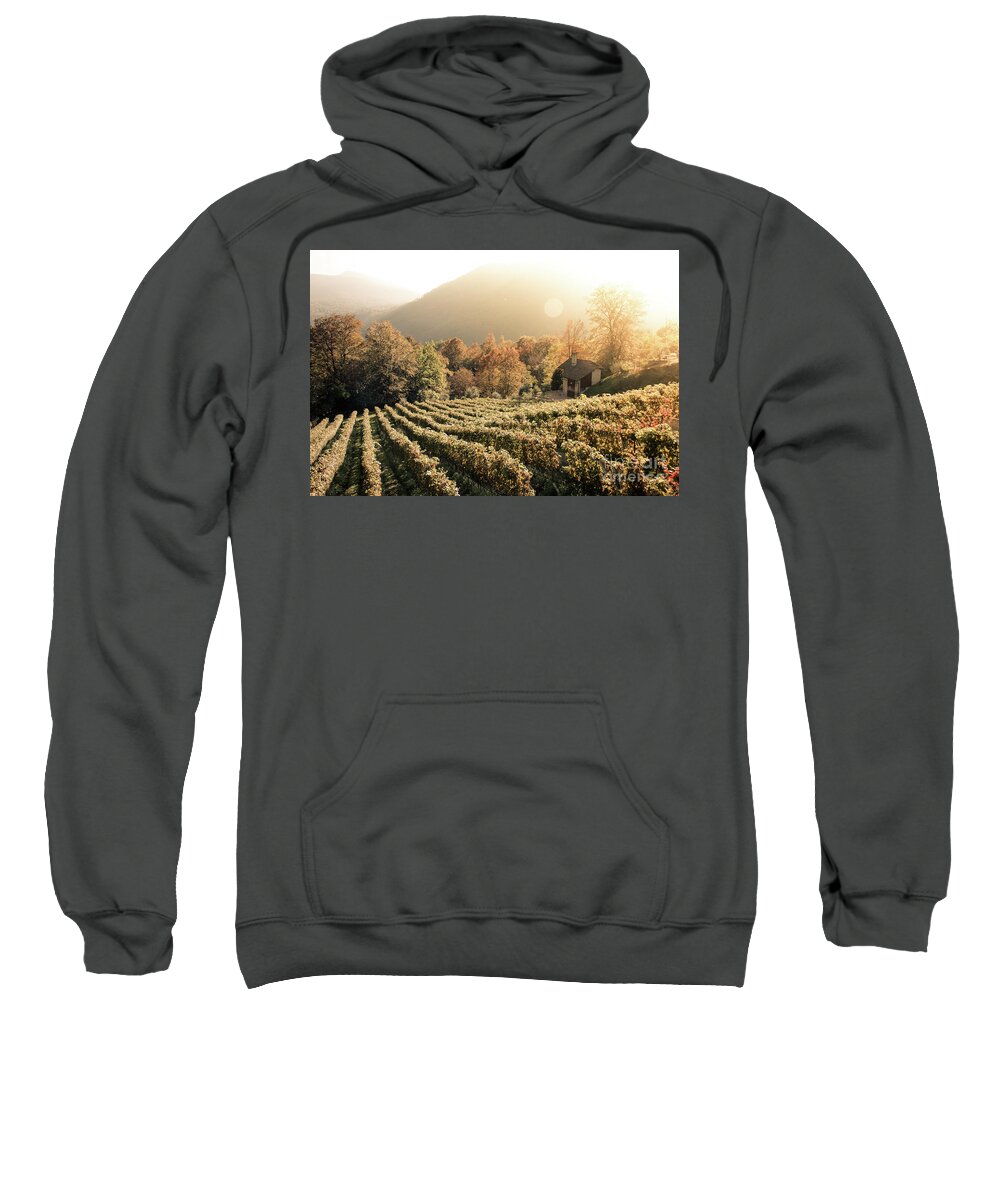 Autumn Sweatshirt featuring the photograph Rows of vine in a vineyard in ticino, switzerland at sunset by Amanda Mohler