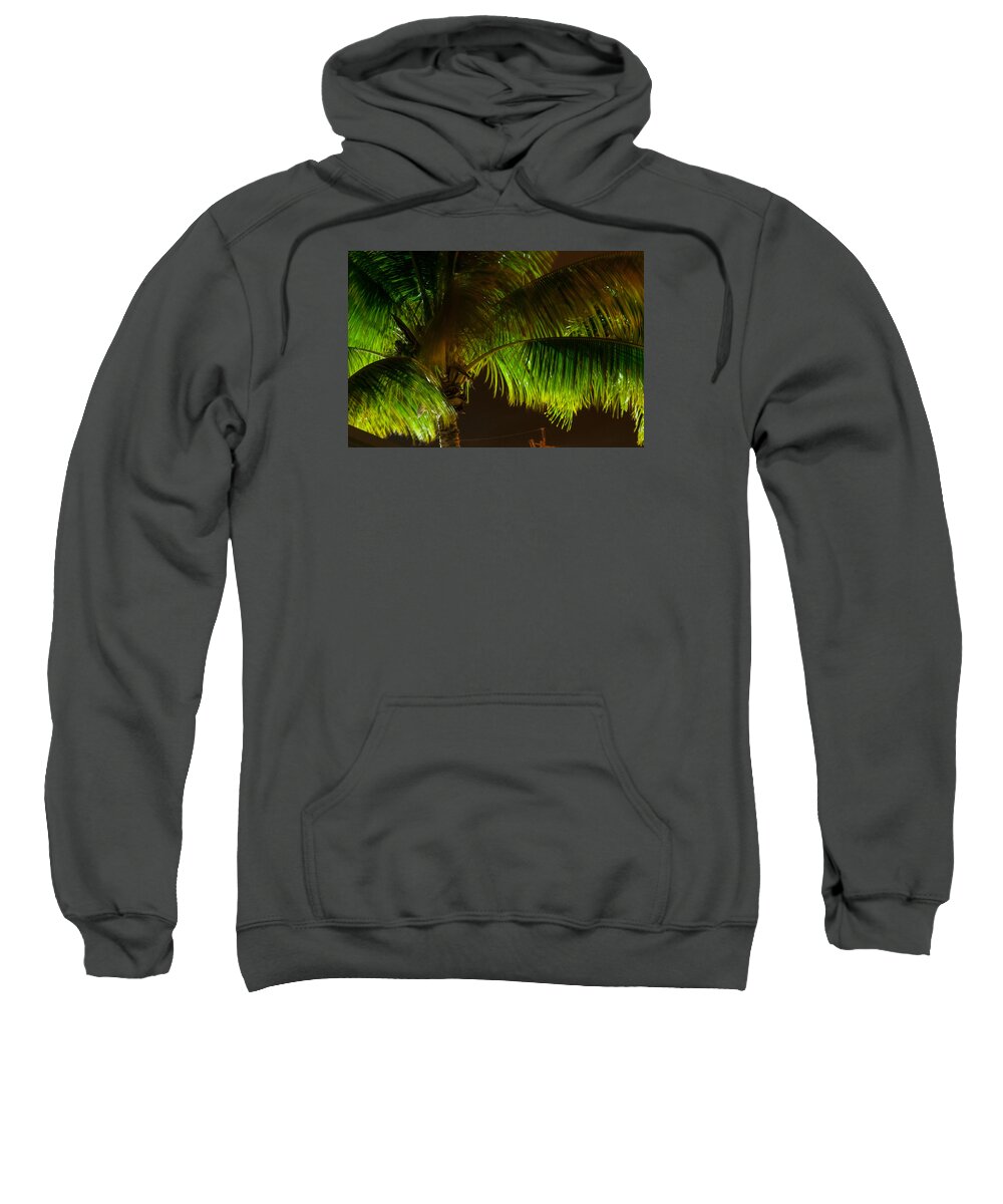 Color Image Sweatshirt featuring the photograph Royal Palm Night Out by Brian Green