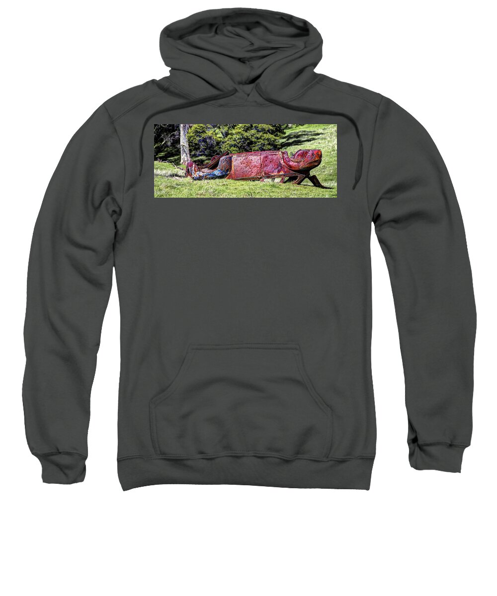  Sweatshirt featuring the photograph Rusty and Forgotten by Wendy Carrington