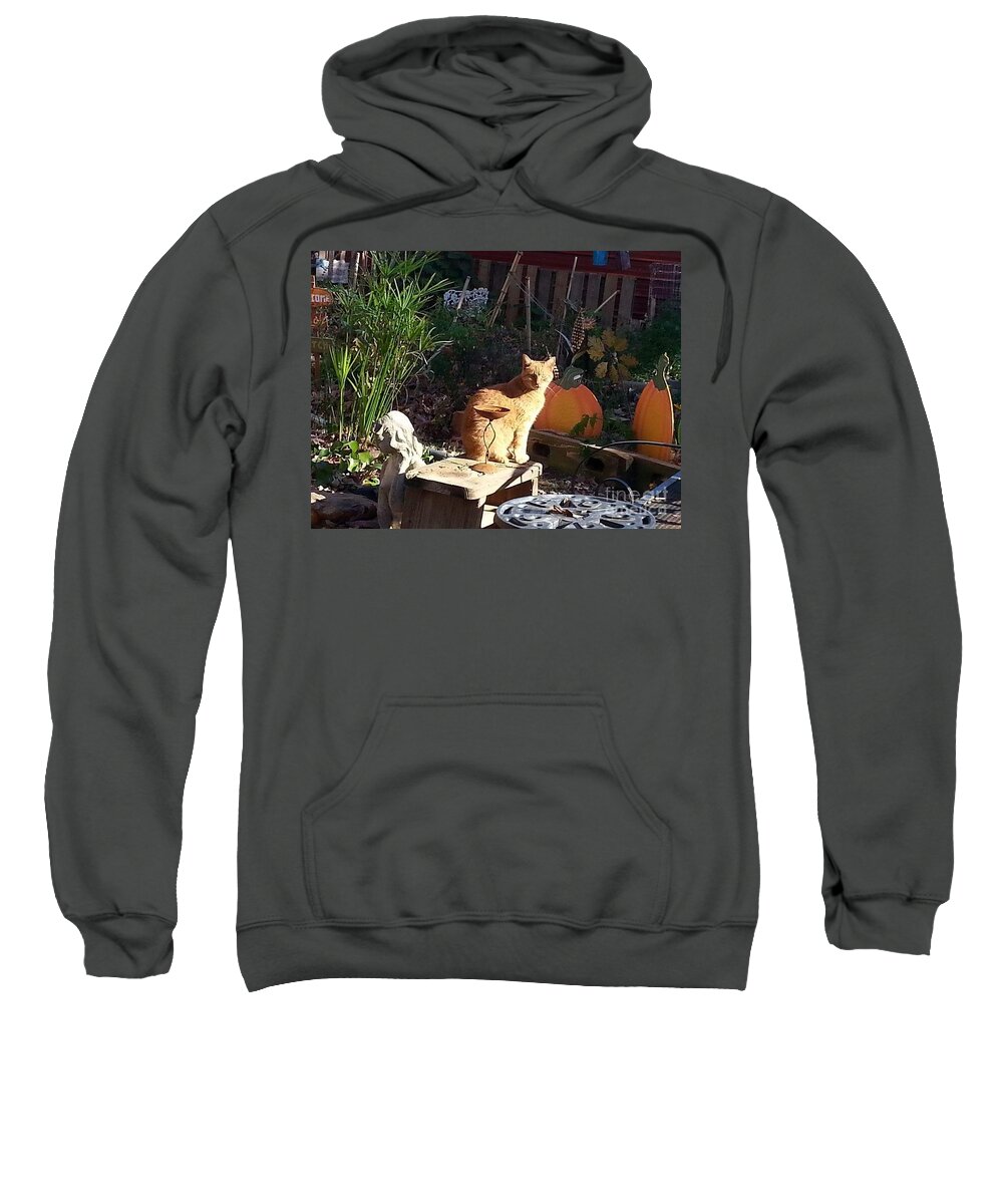 Cat Sweatshirt featuring the photograph Salem in the Garden by Rabiah Seminole