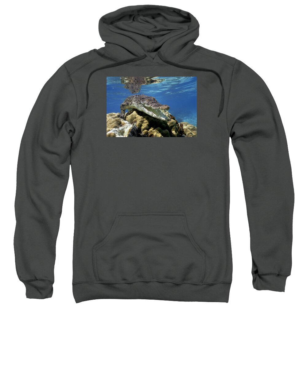 Mp Sweatshirt featuring the photograph Saltwater Crocodile Smile by Mike Parry