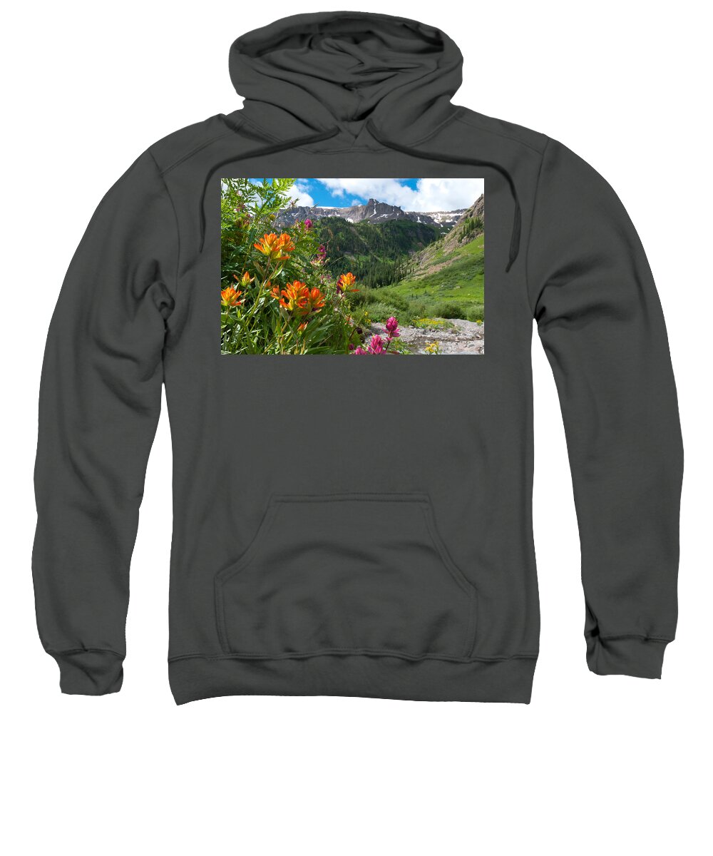 San Juans Sweatshirt featuring the photograph San Juans Indian Paintbrush Landscape by Cascade Colors