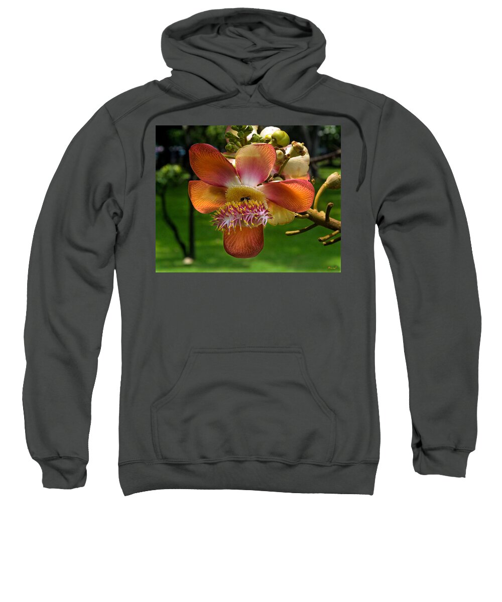 Scenic Sweatshirt featuring the photograph Sara Tree Flower DTHB104 by Gerry Gantt