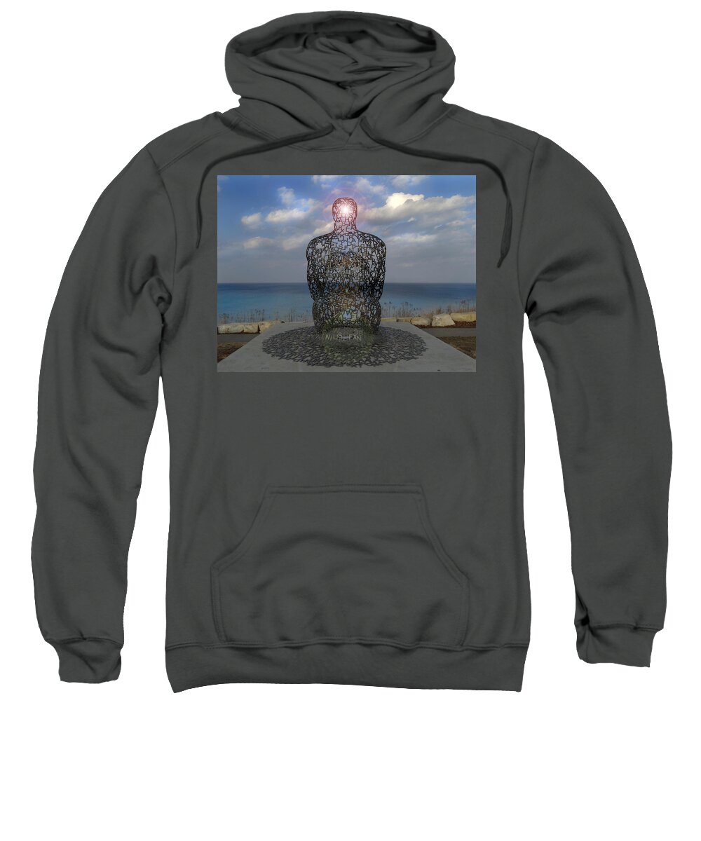 Sculpture Sweatshirt featuring the photograph Sculpture with a View by David T Wilkinson