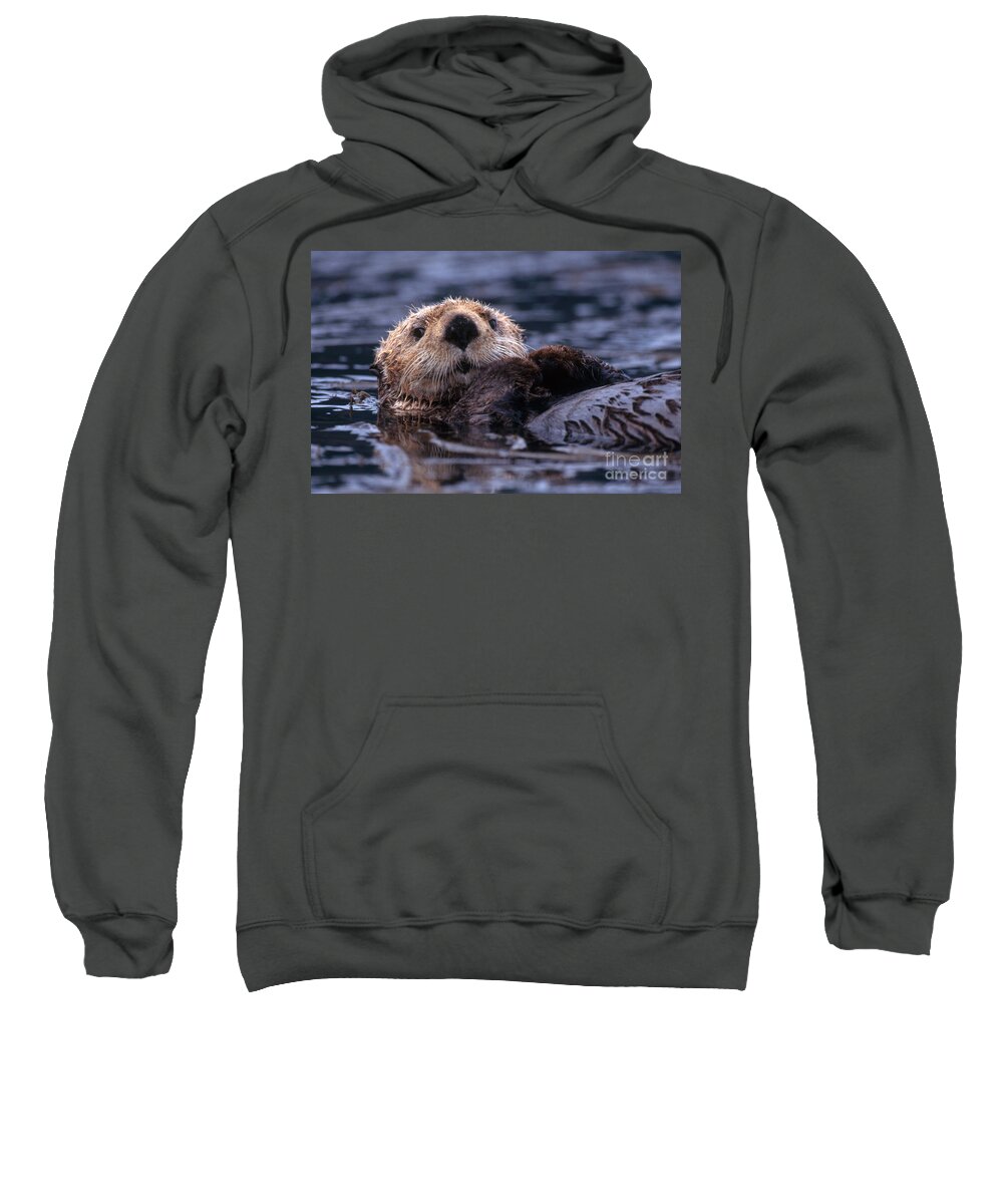 Sea Otter Sweatshirt featuring the photograph Sea Otter by Yva Momatiuk and John Eastcott and Photo Researchers